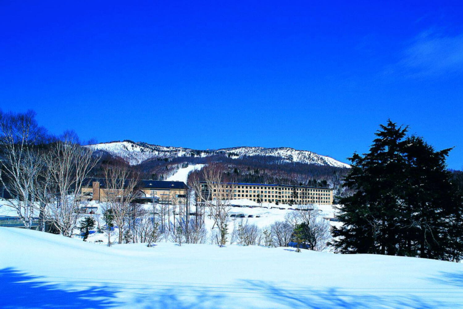 Shiga Prince Hotel - West Wing | SamuraiSnow