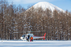 Heli Ski Tours